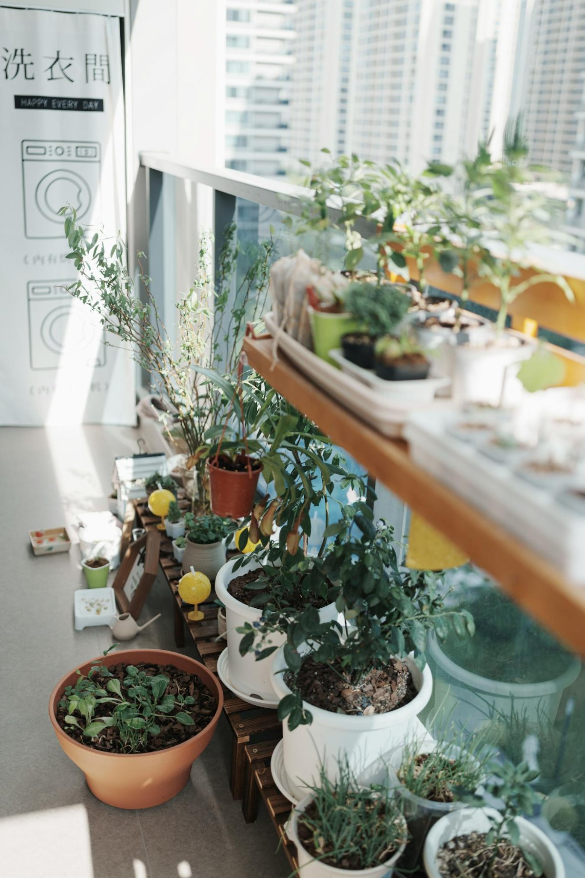Organized potted herbs and plants on a sunny urban apartment balcony