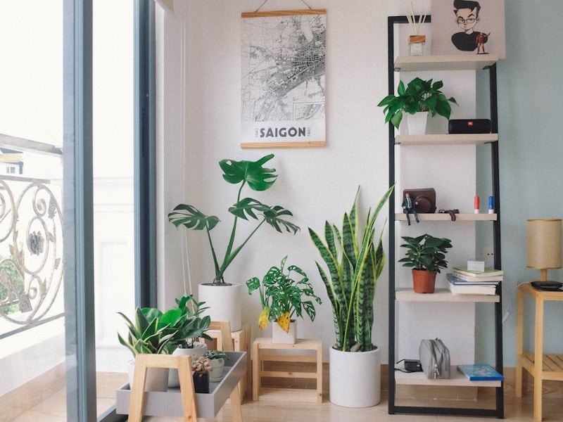 Easy and Beautiful Indoor Gardens