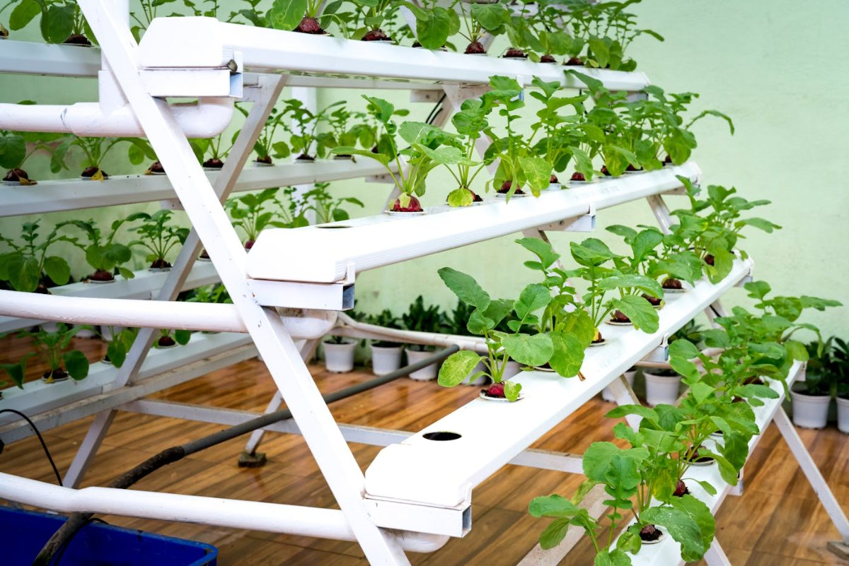 White tiered hydroponic tower rack growing lush green herbs and vegetables indoors