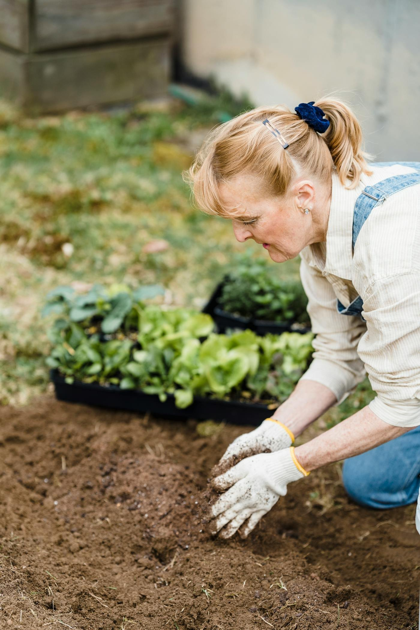 A person carefully tending rows of seedling trays in a bright indoor growing space