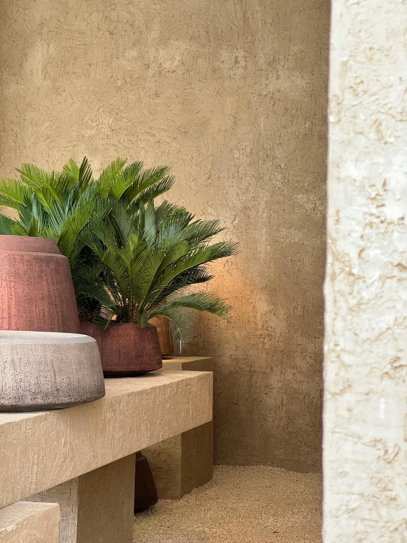 Modern minimalist indoor space with stylish planters and green plants