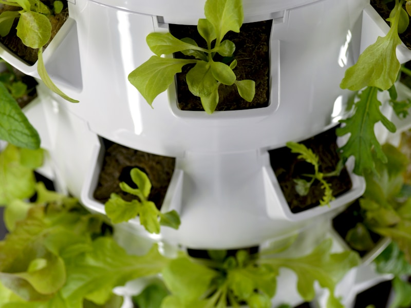 Smart Garden Tech — hydroponic growing system